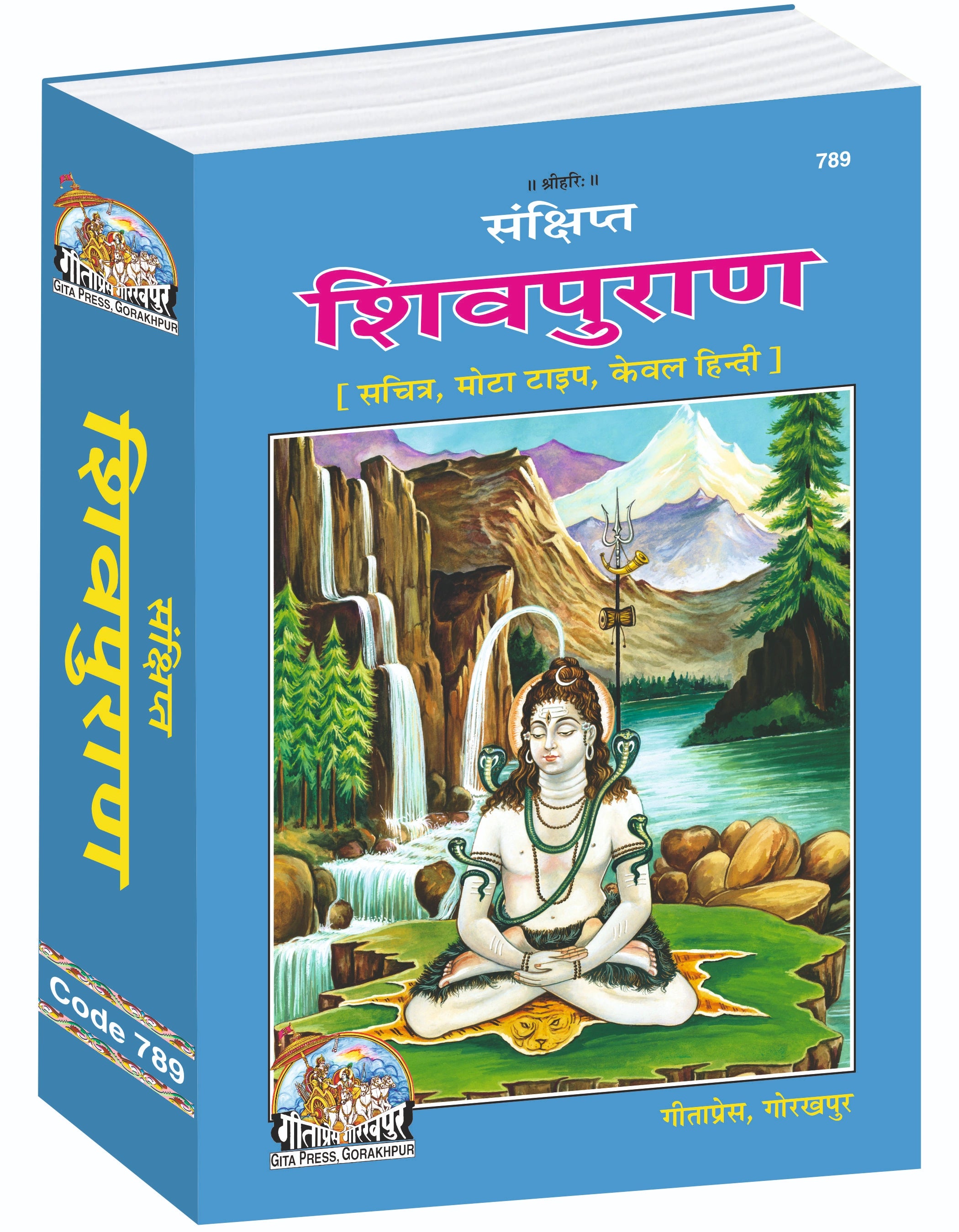 Sankshipt Shiv Puran Hindi – Illustrated Large Print Edition