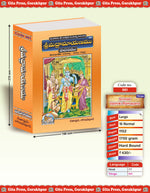 Thumbnail for Srimad Valmiki Ramayana by - Dista
