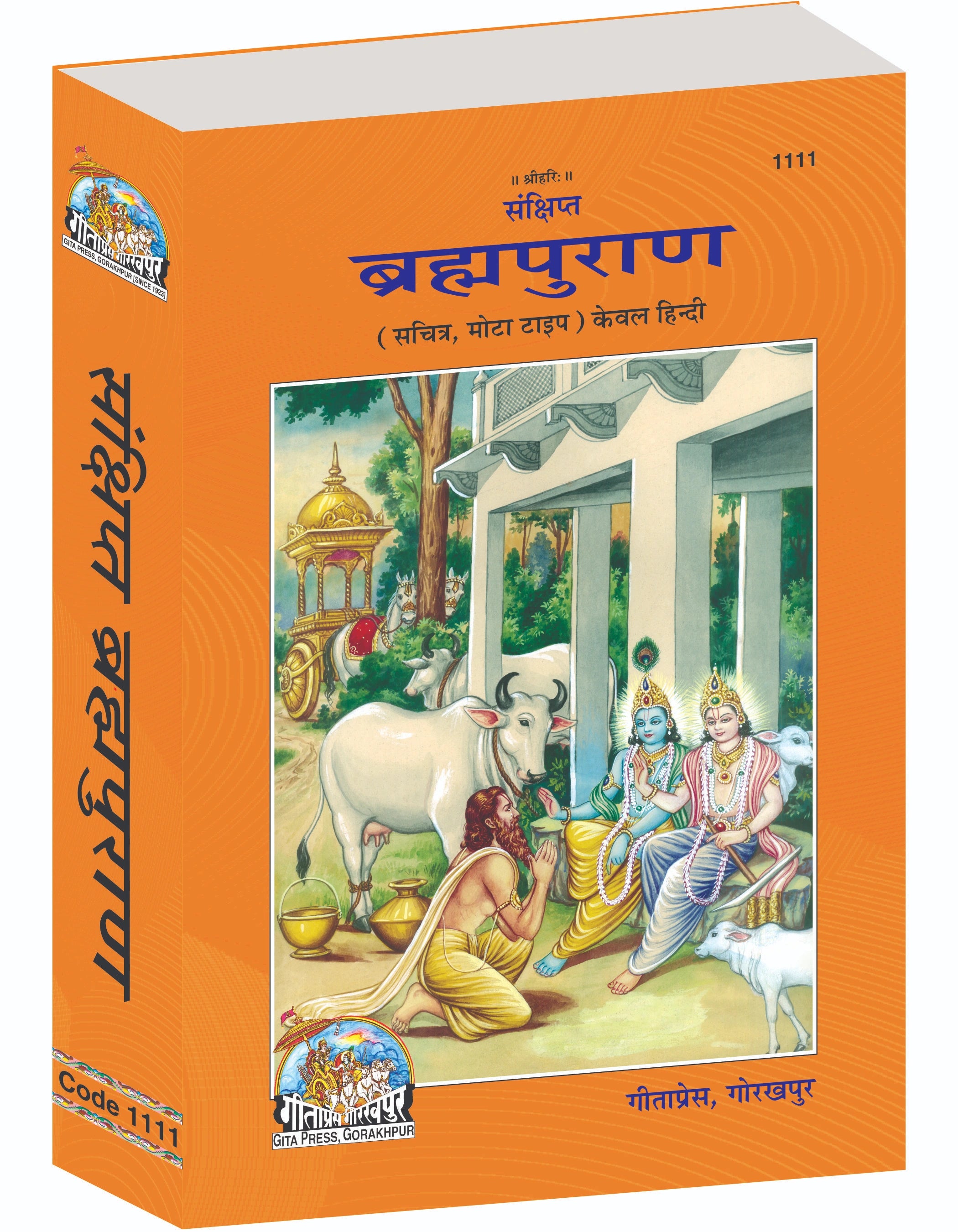 Sankshipt Brahma Purana – Illustrated Hindi Edition in Large Print by - Dista