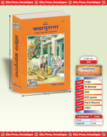 Thumbnail for Sankshipt Brahma Purana – Illustrated Hindi Edition in Large Print by - Dista