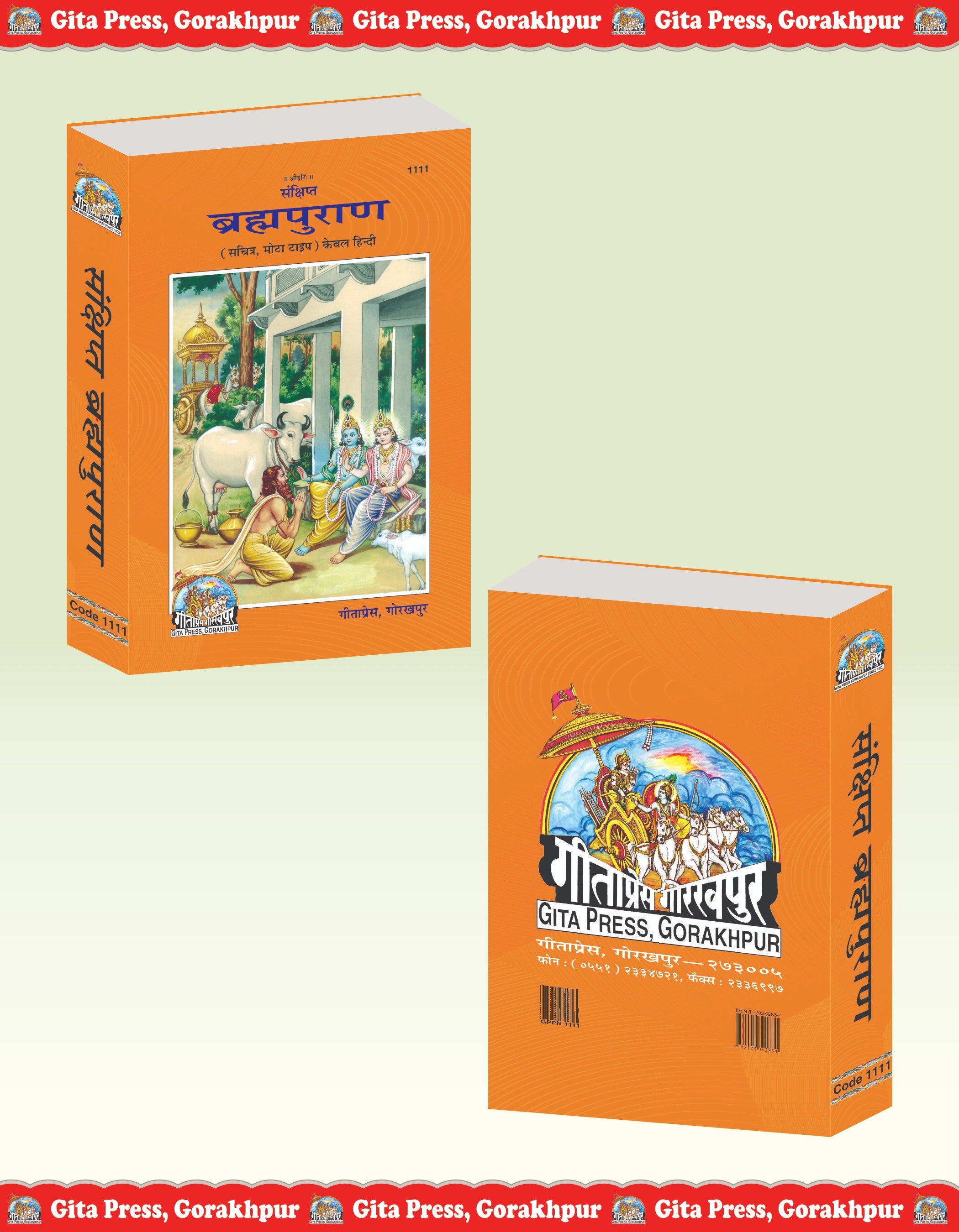 Sankshipt Brahma Purana – Illustrated Hindi Edition in Large Print by