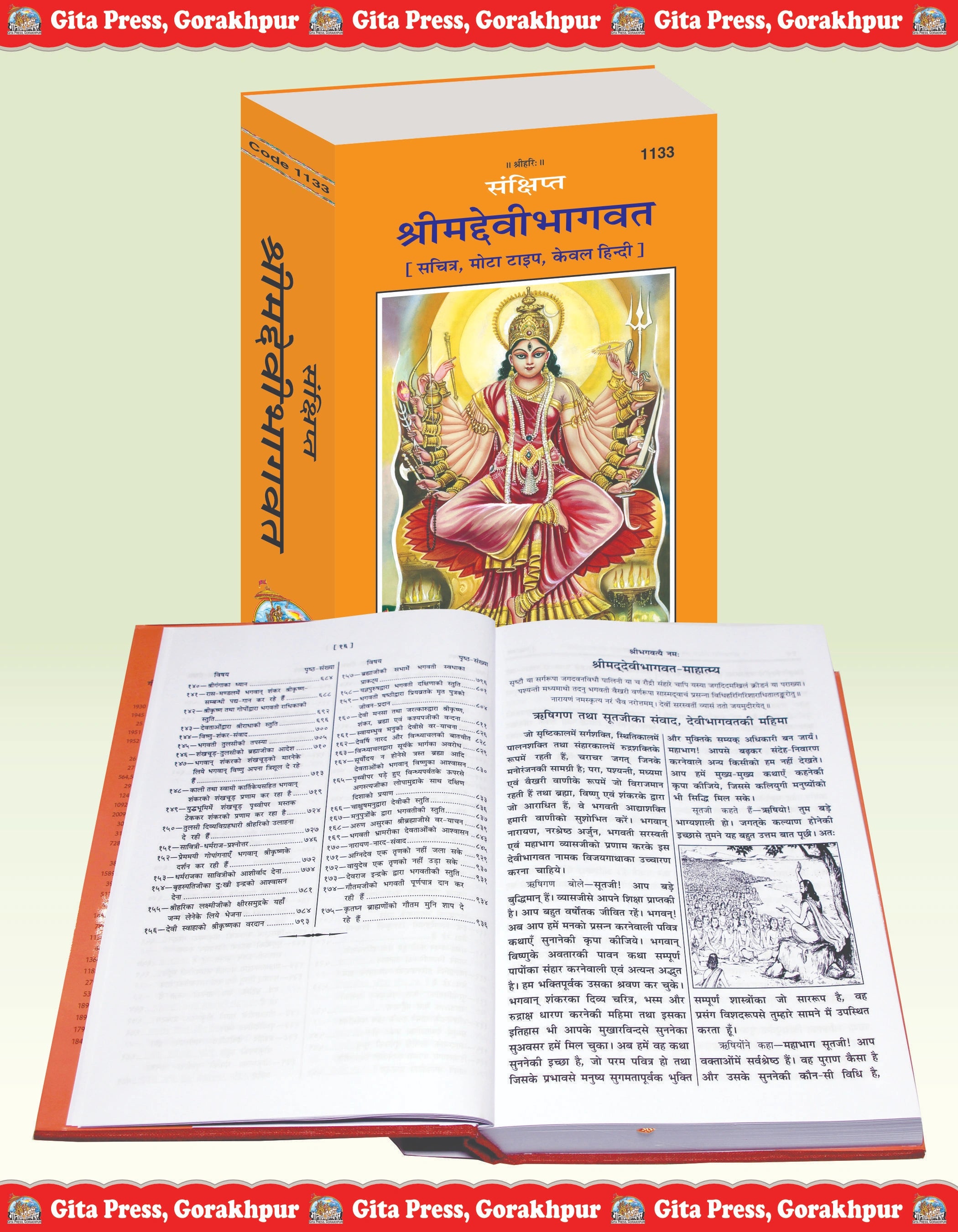 Sankshipt Shrimad Devi Bhagavat – Illustrated Hindi Edition in Large Print by - Dista