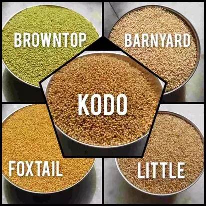 Tenali Ruchulu Siridhanyalu Millets - Siridhanya 5 Types Of Organic Millets Rice Little, Kodo, Browntop, Barnyard & Foxtail - Dista