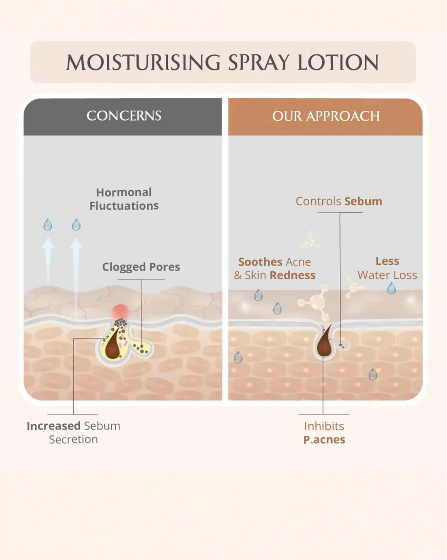 AreoVeda Mini Mom and Baby Lotion Combo - Distacart