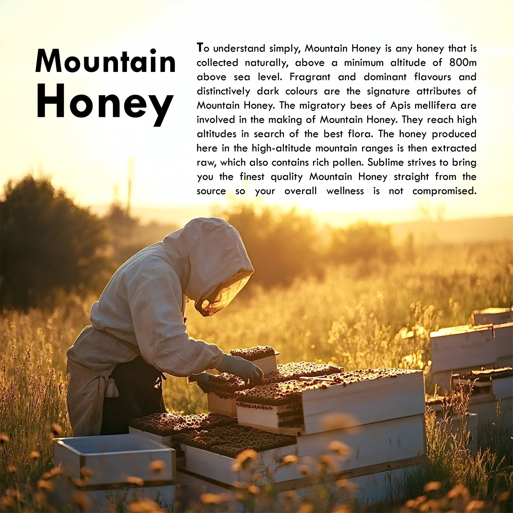 Sublime Inspiring Awe Mountain Honey - Distacart
