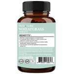 Thumbnail for Minature Wheatgrass Tablet
