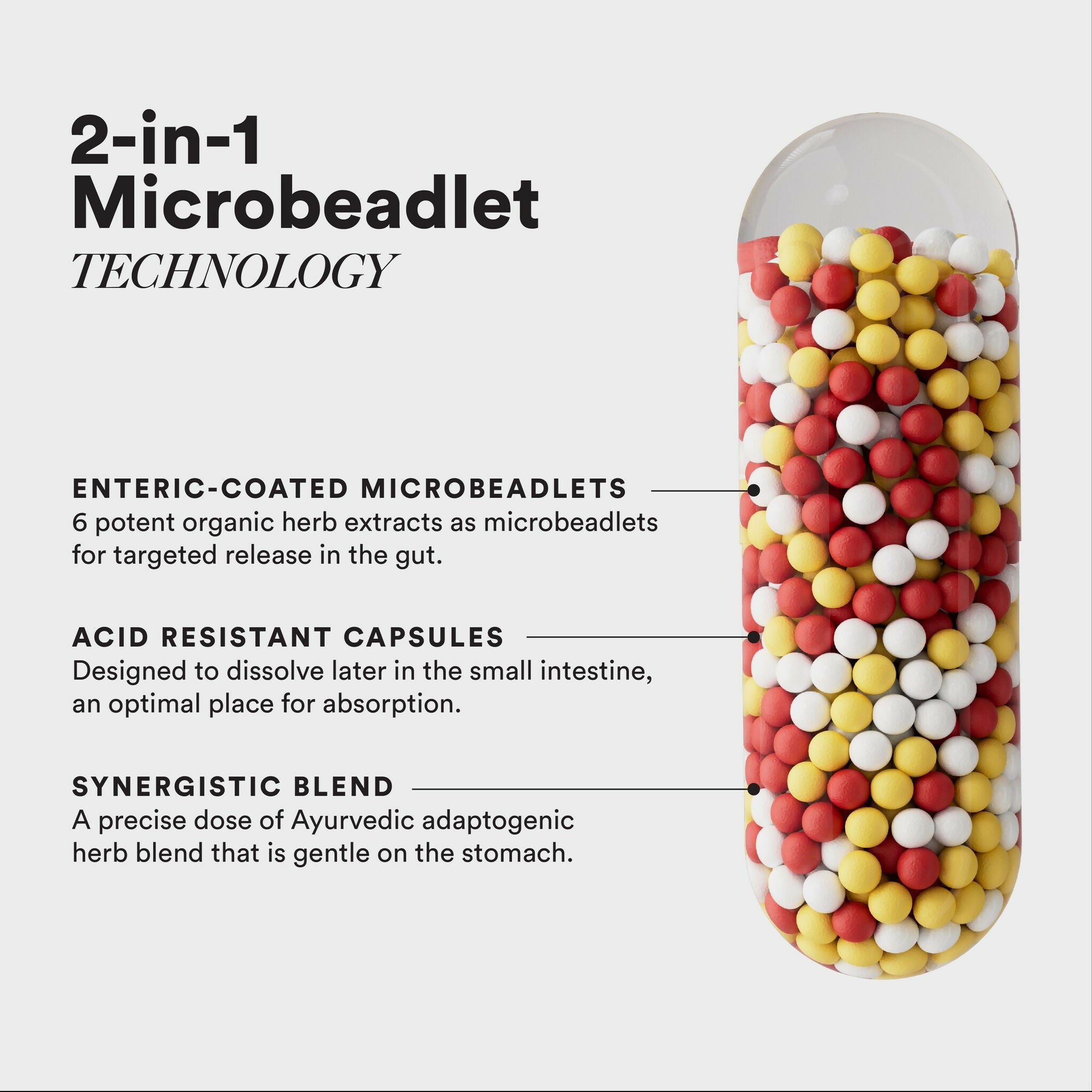 Wellbeing Nutrition Slow Liver Detox Capsules - Distacart