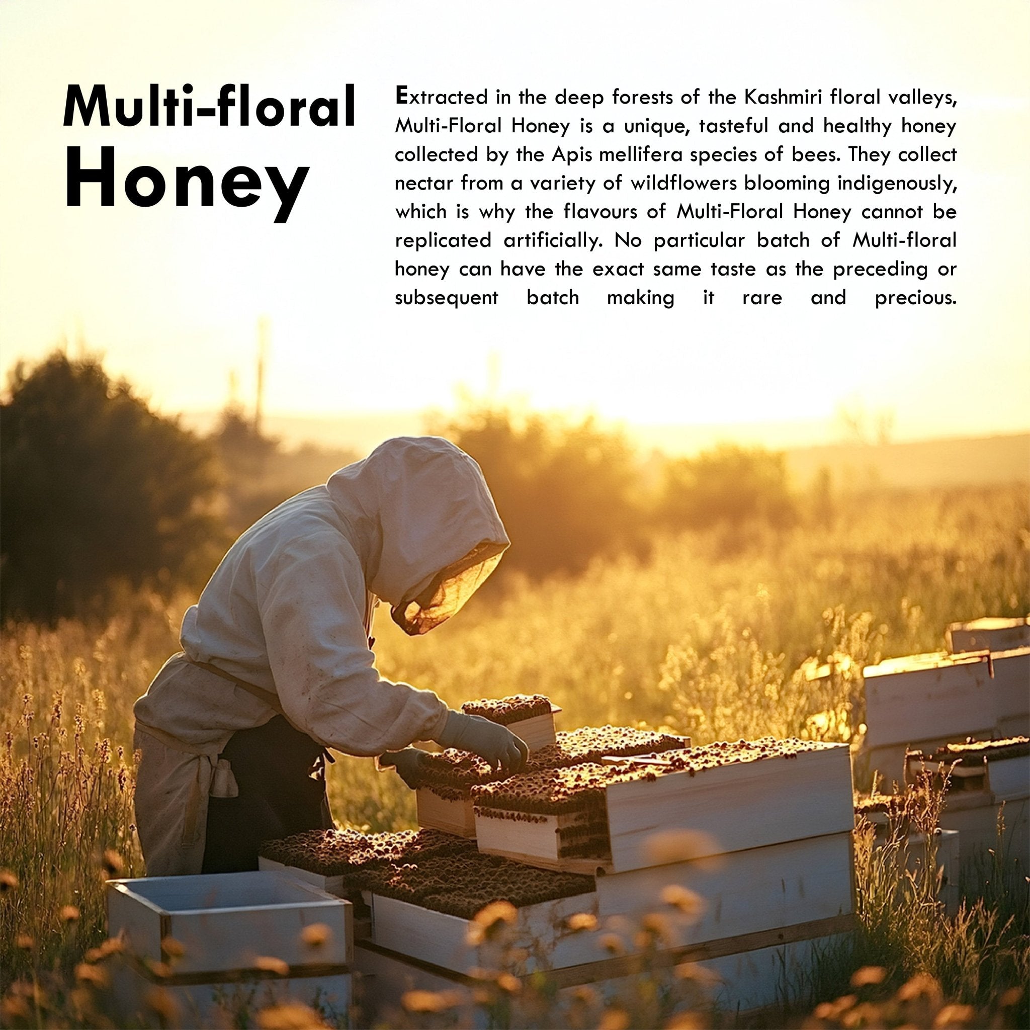 Sublime Inspiring Awe Multi Floral Honey - Distacart