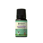Thumbnail for Pilgrim Spanish Rosemary Essential Oil For Hair Growth, Hair Fall Control & Hair Strengthening - Distacart