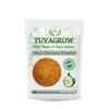 Image 1 of 250 gm for the product Yuvagrow Dhal Chutney Powder