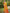 Astita Pochampalli Silk Yellow Saree