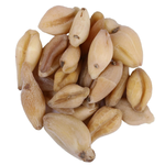 Thumbnail for Yuvika Suranjaan Kadvi - Suranajan Kadwi - Colchicum Luleum - Suranjan Bitter