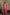 Jyoti Fashion Women's Pink Muslin Floral Print with Crush Pleating Kurta with Trouser & Dupatta - Distacart