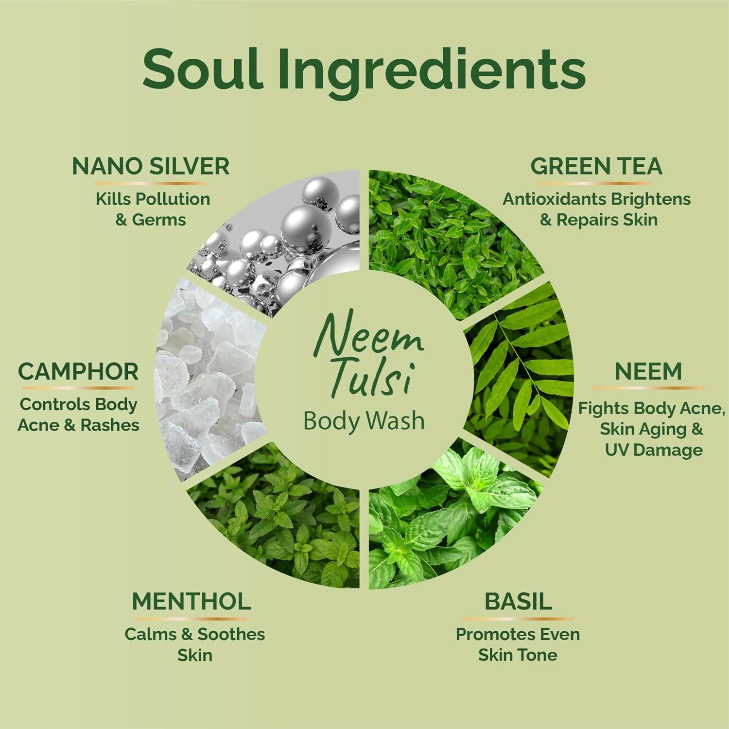 Vedic Valley Neem Tulsi Body Wash - Distacart