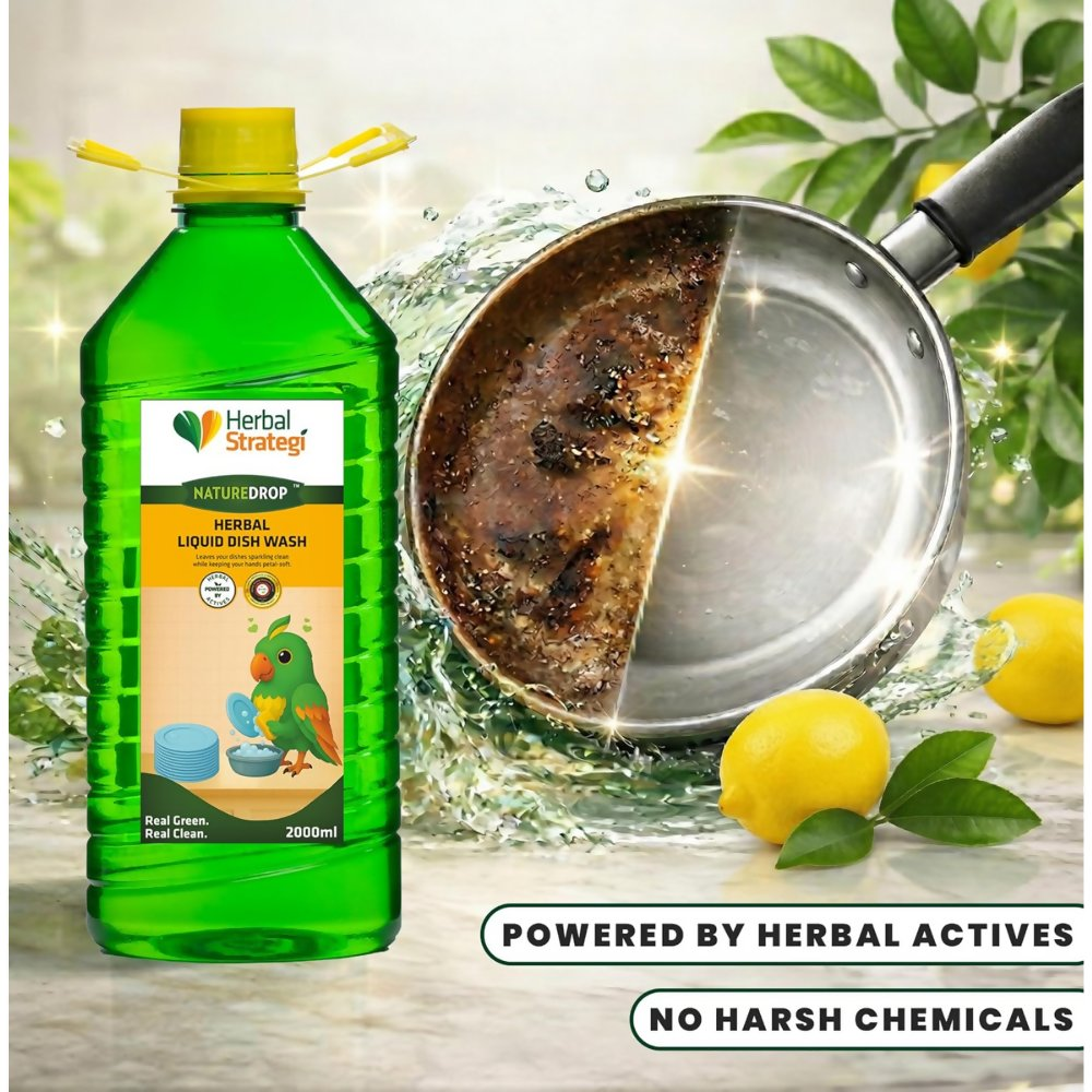 Herbal Strategi Natural Dishwash Liquid - Dista
