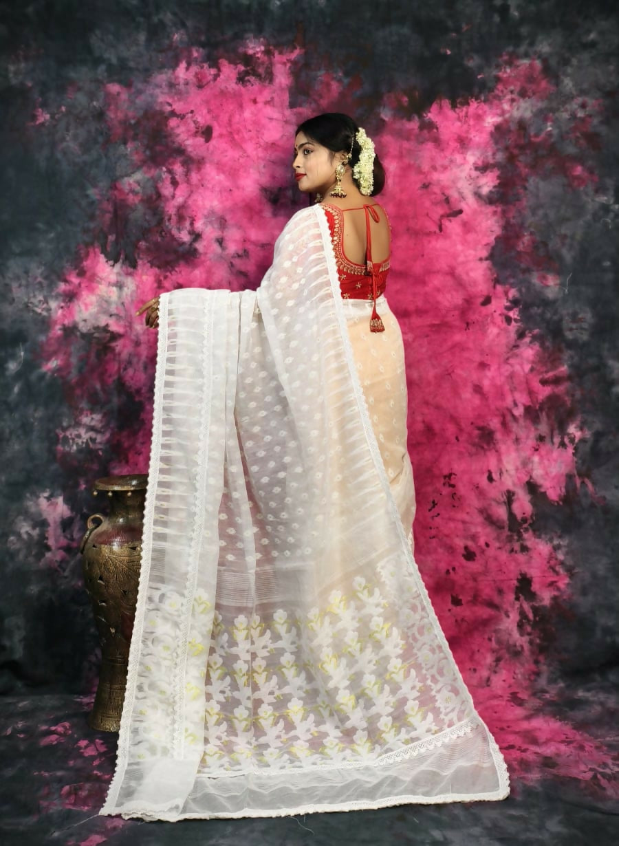 ECDCJAMDANILACEWhite