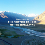 Thumbnail for Wellwith Sea Buckthorn Jam - Distacart