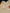 Ruby Raang Gold Kundan and Pearl Chain (set of 2)