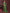 Ai Fashion Green Georgette Digital Print Party Wear Saree