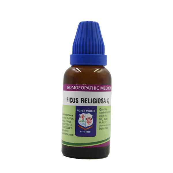 Father Muller Ficus Religiosa Mother Tincture Q - Distacart