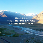 Thumbnail for Wellwith Super Fruit Tea - Distacart