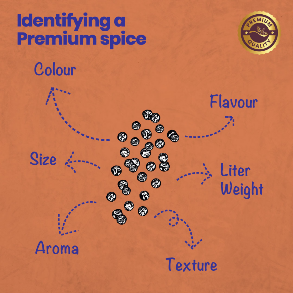 Crista Spices Daily Whole Spices (Masala) - Distacart