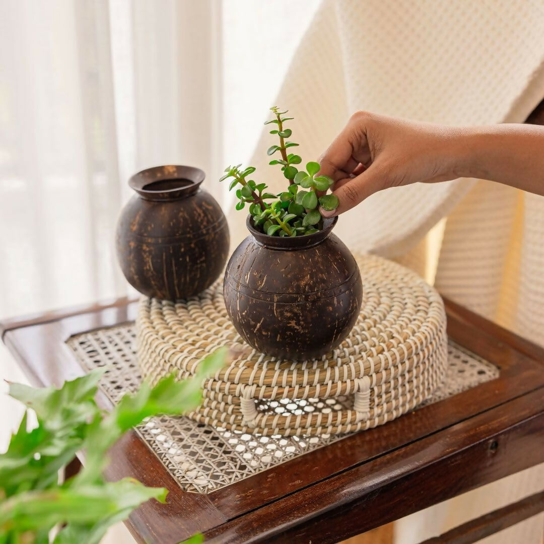 Thenga Handmade Coconut Shell Planter Pot with Cork Tray - Dista