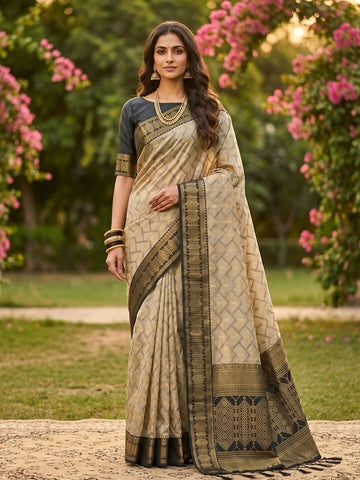 Shree Shyam Fashion Chiku With Black Cotton Saree - Dista