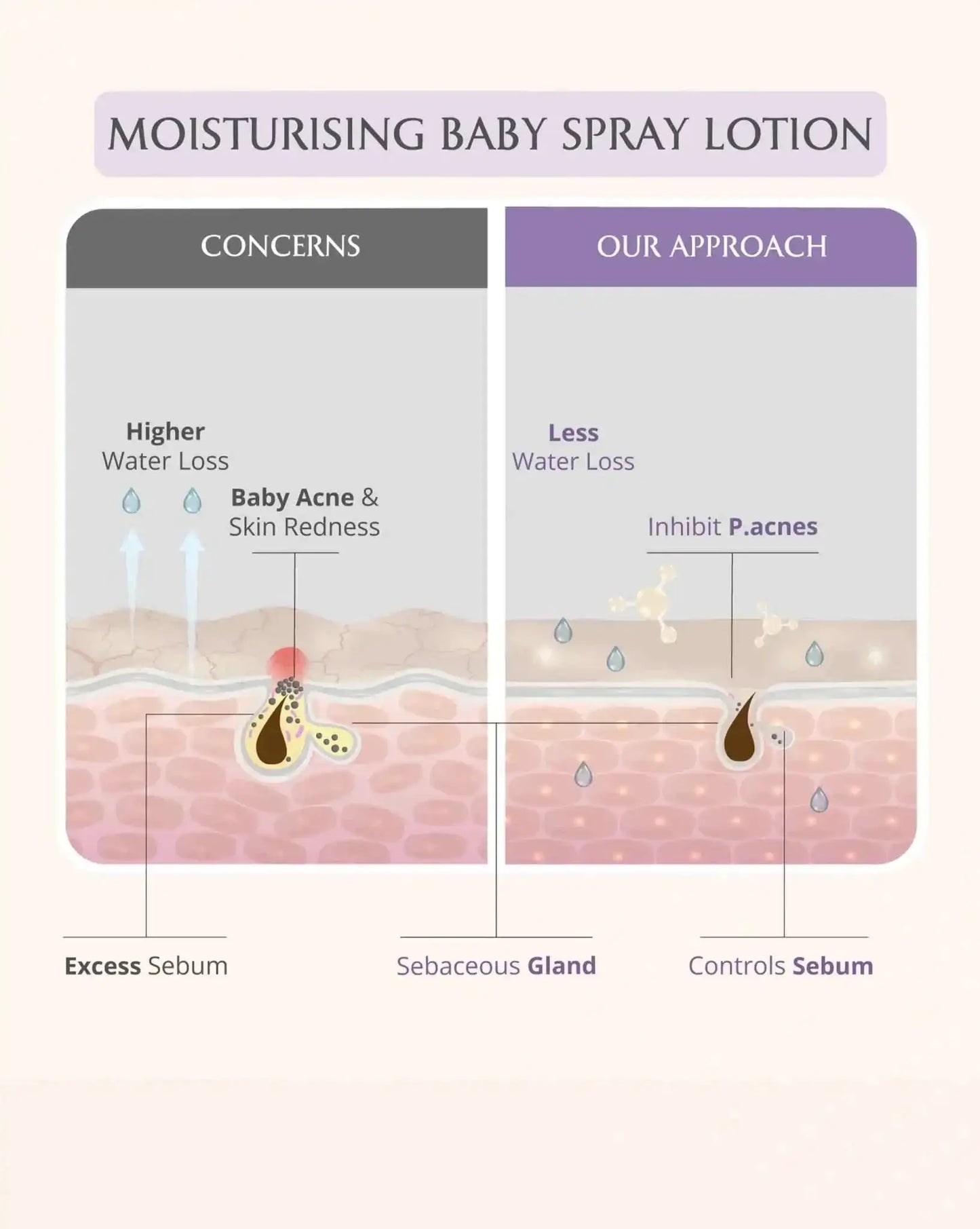 AreoVeda Newborn Bath Ritual - Distacart