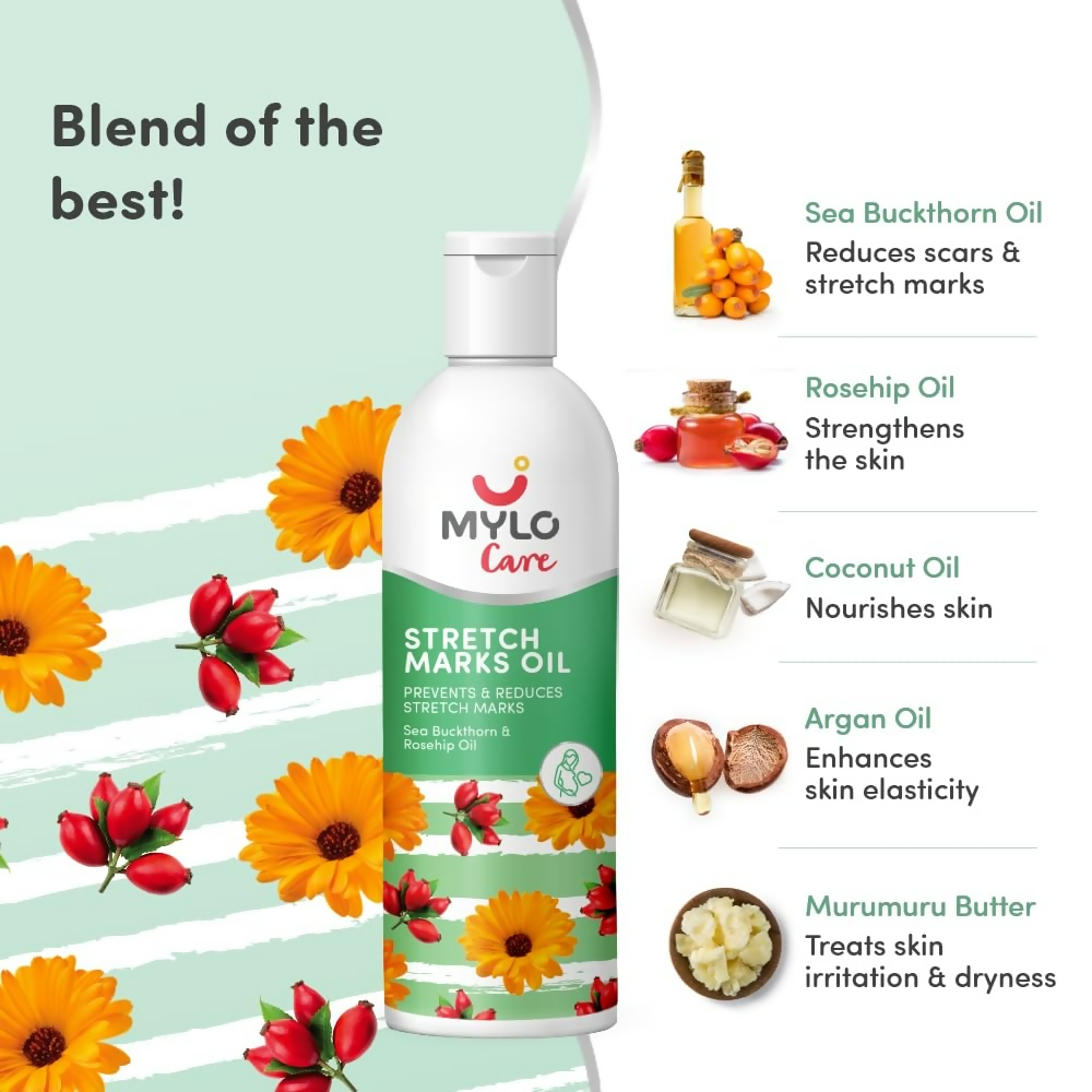 download - 2025-01-25T160412.957