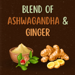 Thumbnail for Satvi Wellness Ashwagandha Ginger Herbal Infusion Mix In Indvidual Packets | Herbal Tea Sachet - Dista