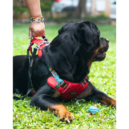 Waggety Adjustable Full Body Dog Harness - Comfortable Fit, Durable Polyester, Red - Dista