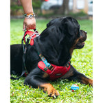 Thumbnail for Waggety Adjustable Full Body Dog Harness - Comfortable Fit, Durable Polyester, Red