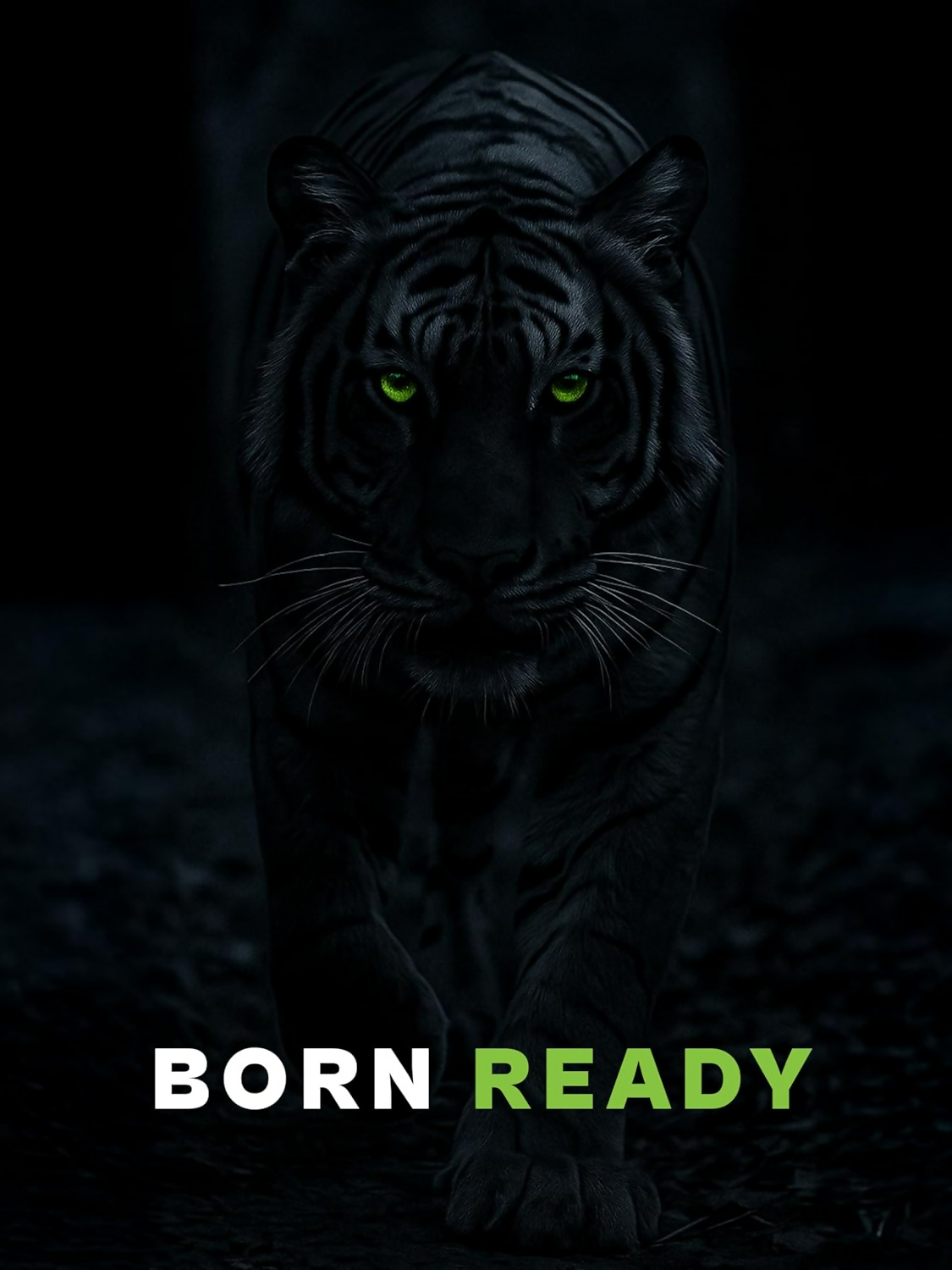 Prowl By Tiger Shroff Unique Skincare Gift