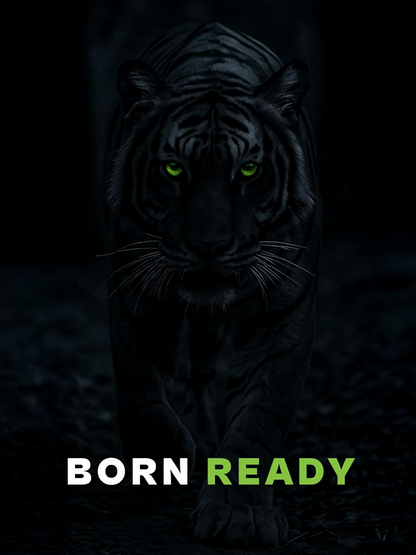 Prowl By Tiger Shroff Unique Skincare Gift Kit - Distacart