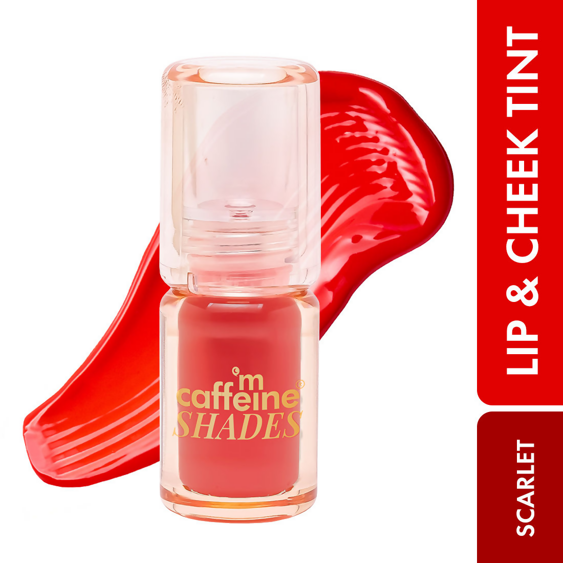 download - 2025-03-08T141731.831