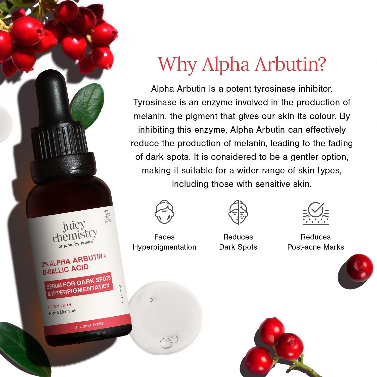 Juicy Chemistry 2% Alpha Arbutin + D-Gallic Acid Face Serum