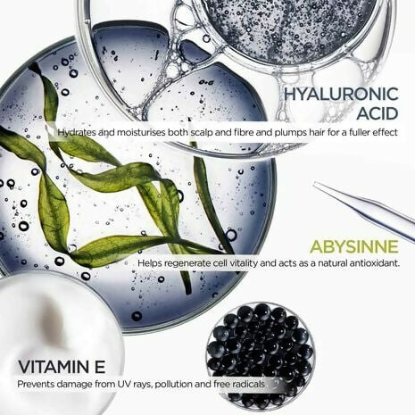 Kerastase Chronologiste Bain Regenerant Shampoo - Distacart
