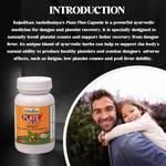 Thumbnail for Rajasthan Herbals Plate Plus Capsules