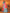Joban Fashion Banarasi Pink Woven Soft Silk Saree