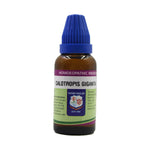Thumbnail for Father Muller Calotropis Gigantea Mother Tincture Q - Distacart