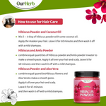 Thumbnail for download - 2024-09-27T185010.594