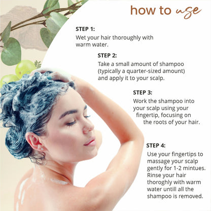 Globus Naturals Amla Reetha Shikakai Shampoo - Distacart
