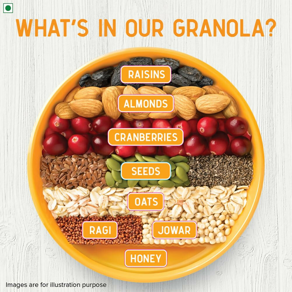 Tata Soulfull Millet Granola (Honey, Fruits, Nuts & Seeds) - Distacart