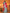 Joban Fashion Banarasi Hot Pink Woven Soft Silk Saree