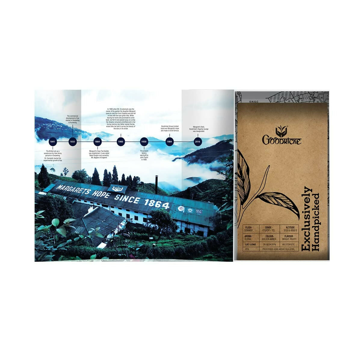 Goodricke Single Estate, Margaret’s Hope - Exclusive Darjeeling Tea - Distacart