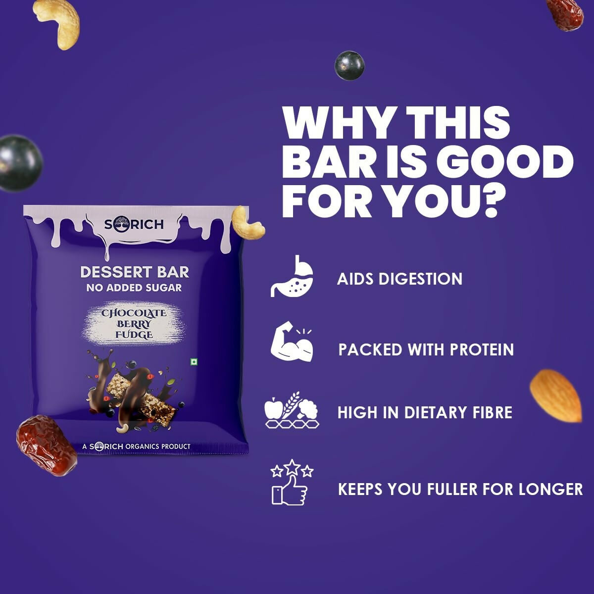 Sorich Organics Dessert Protein Mini Bars Chocolate Berry Fudge - Distacart