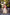 Evanik Off White South Style Jecquard Chex Zari Weaving Work Unstitched Lehenga Choli