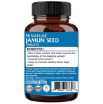 Thumbnail for Minature Jamun Seed Tablet