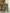 Yufta Olive Green Ethnic Motifs A-Line Kurta Trouser Dupatta Set With Bucket Neck